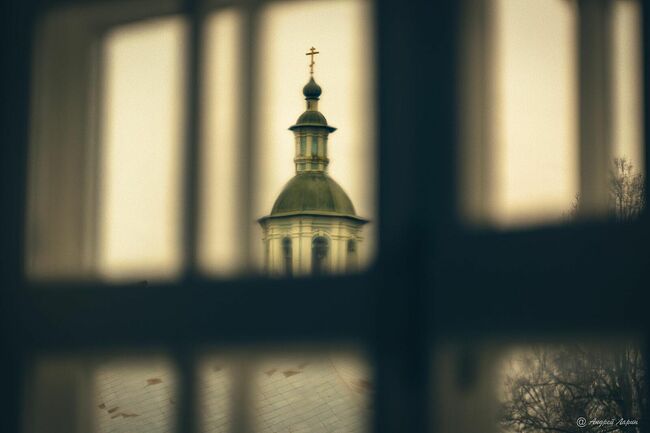 Андрей Ларин. Случайный альбом с неслучайными фотографиями. Без названия