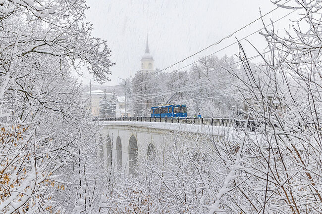 Андрей Ларин. Моя Калуга. Без названия